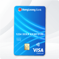 Visa Debit Card